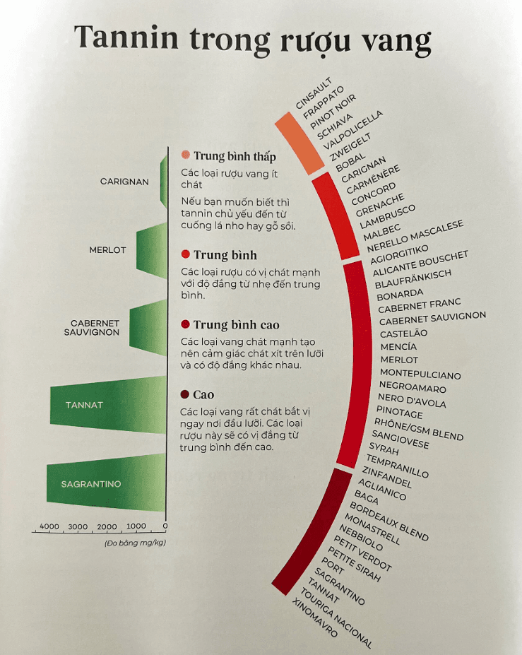 Độ chát hay vị chát của rượu vang là gì?